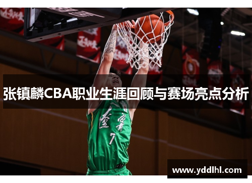 张镇麟CBA职业生涯回顾与赛场亮点分析