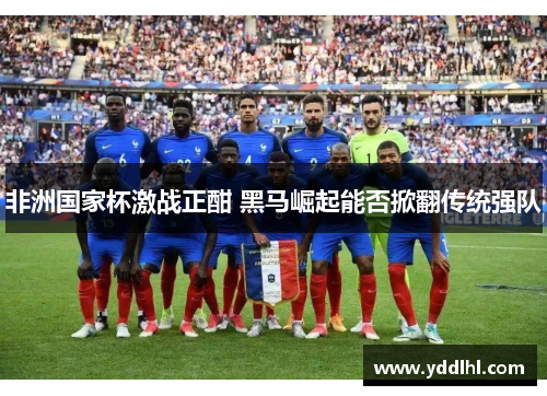 非洲国家杯激战正酣 黑马崛起能否掀翻传统强队